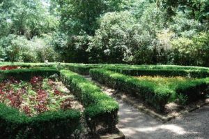 sights and insights nature tours charleston sc