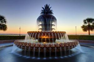 sights and insights cool tours charleston sc