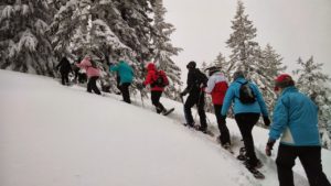 outdoor winter activities salt lake