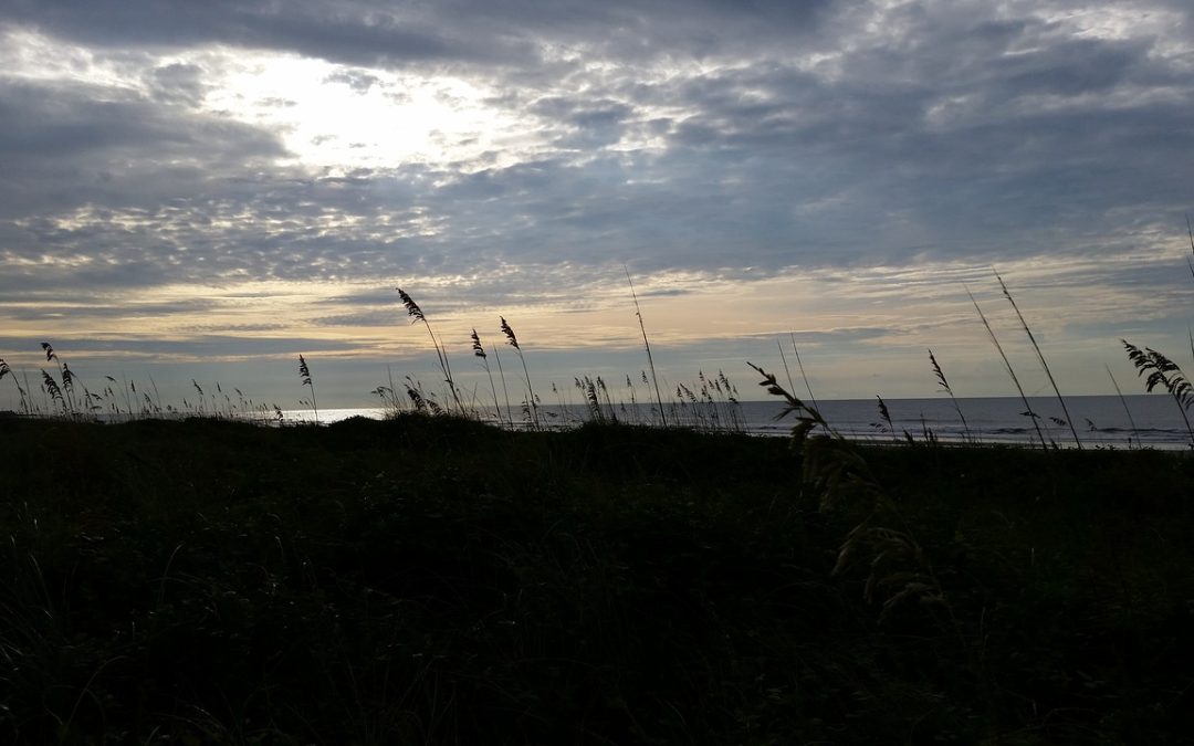 Charleston, SC Beaches to Visit