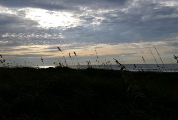 beaches near by charleston sc