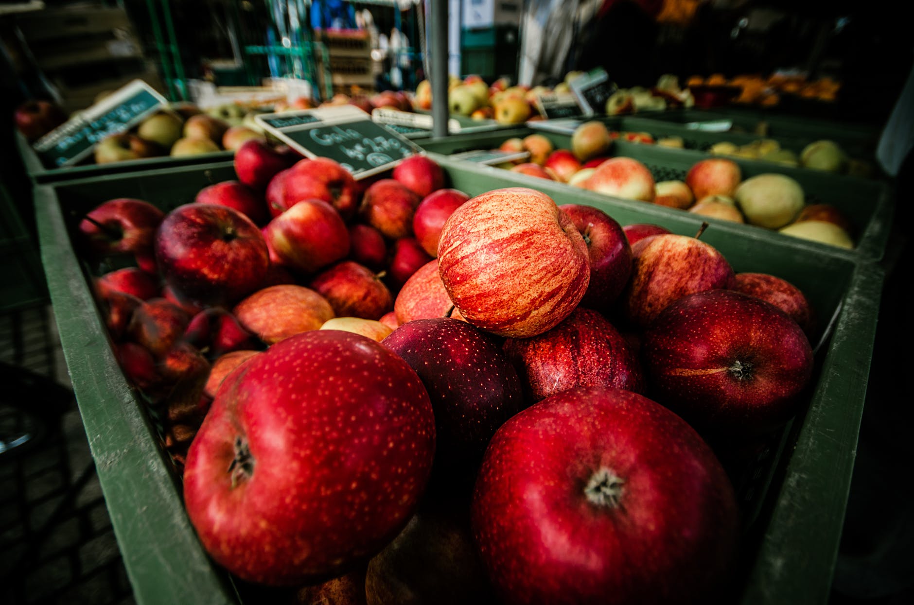 fresh deli market raleigh nc