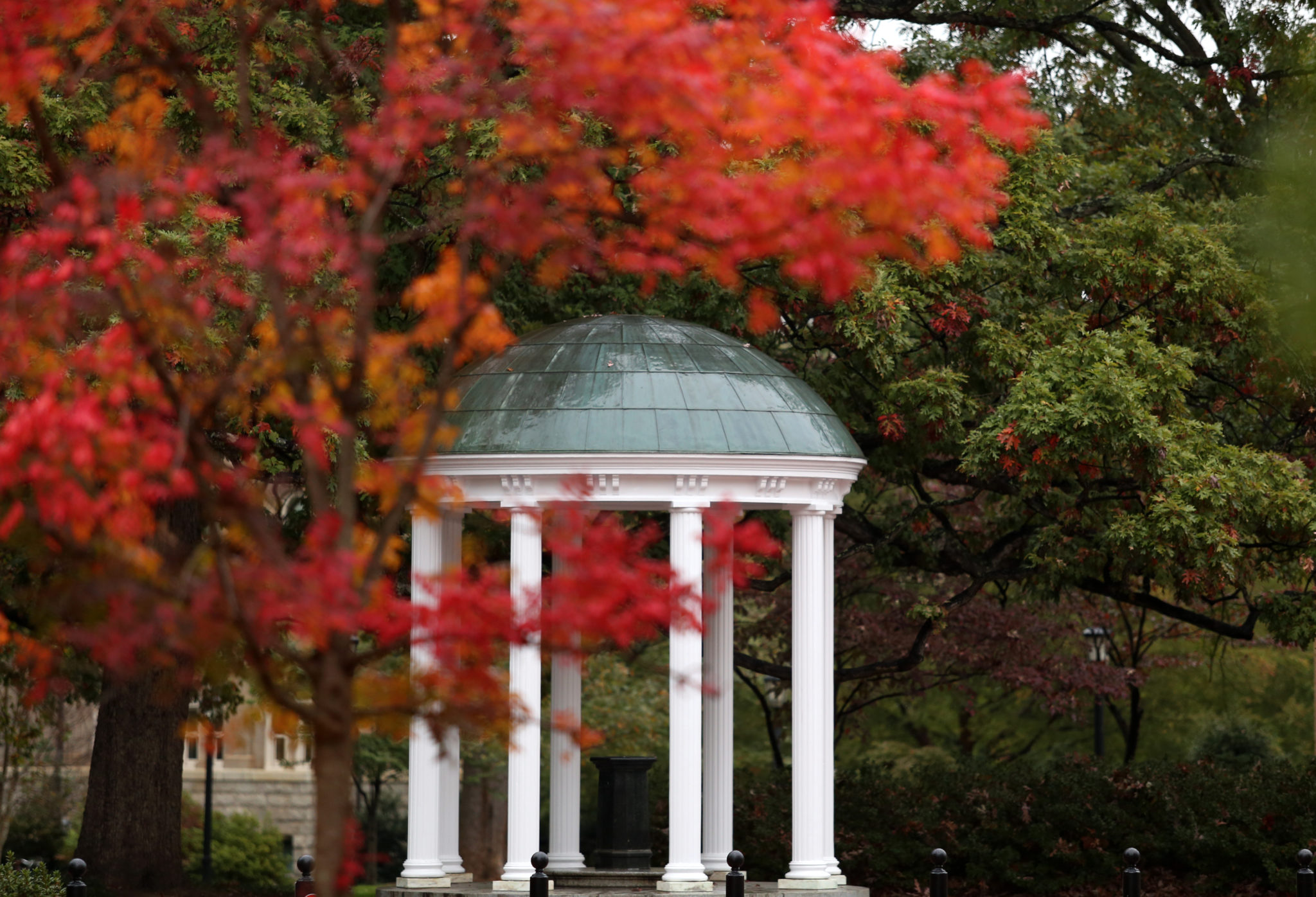 things to do while in chapel hill nc