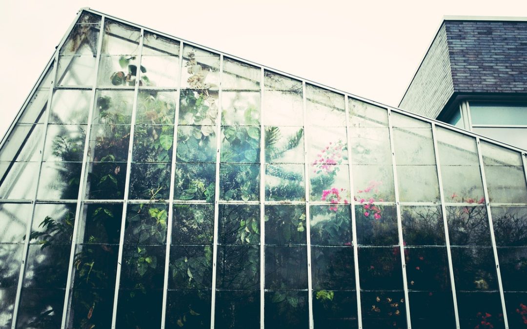 Things to Do in Chapel Hill, NC