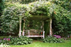 places to see and things to do in chapel hill nc