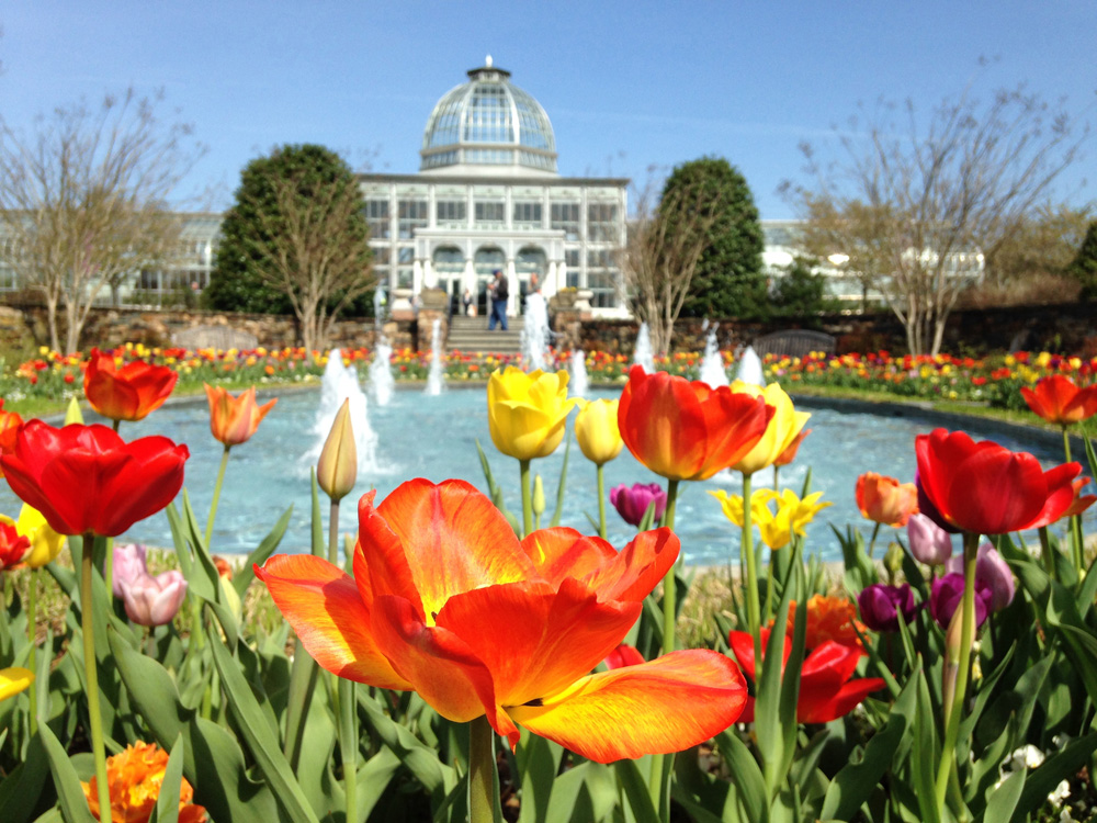 richmond va upcoming events this month