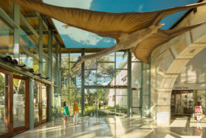 museums and places to visit in san antonio